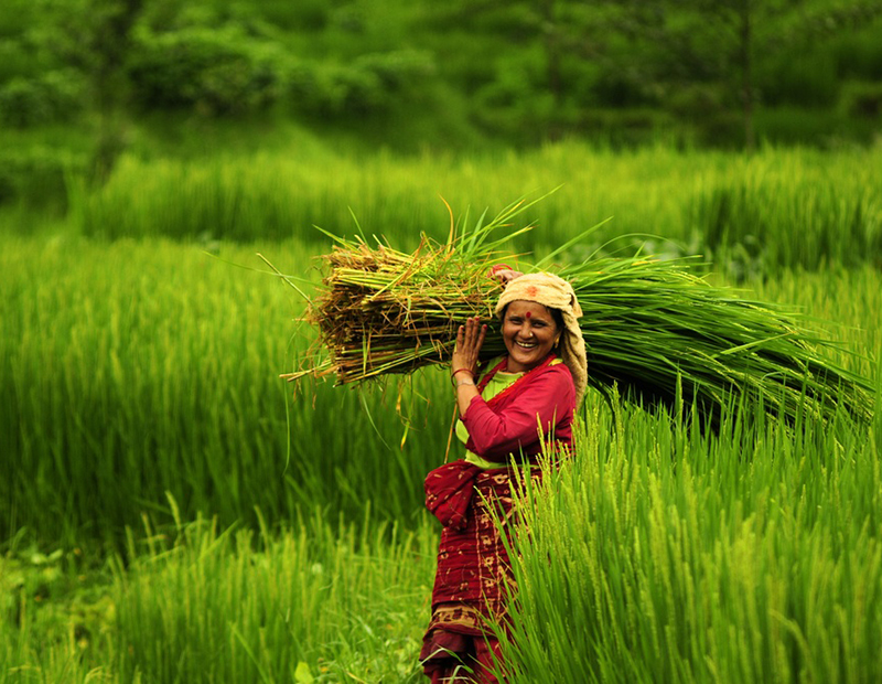 Agriculture Tours