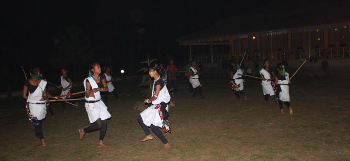 Cultural Dance and Music Show Program