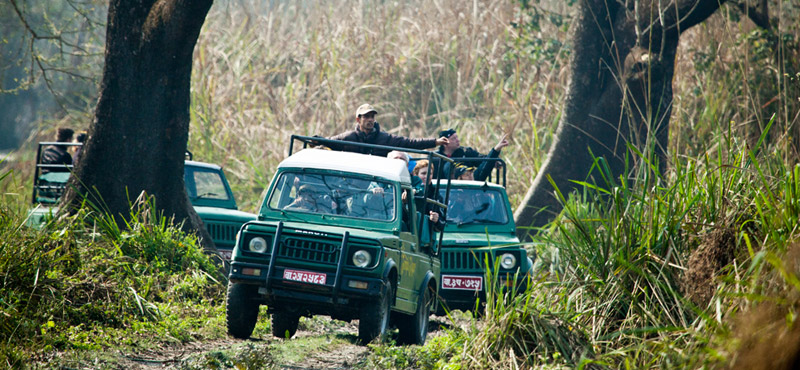 Jeep Safari Tour