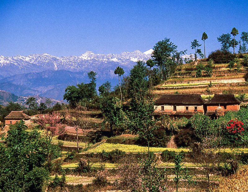 Nepal Experience Tour